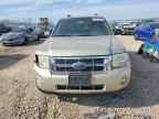 2010 FORD ESCAPE