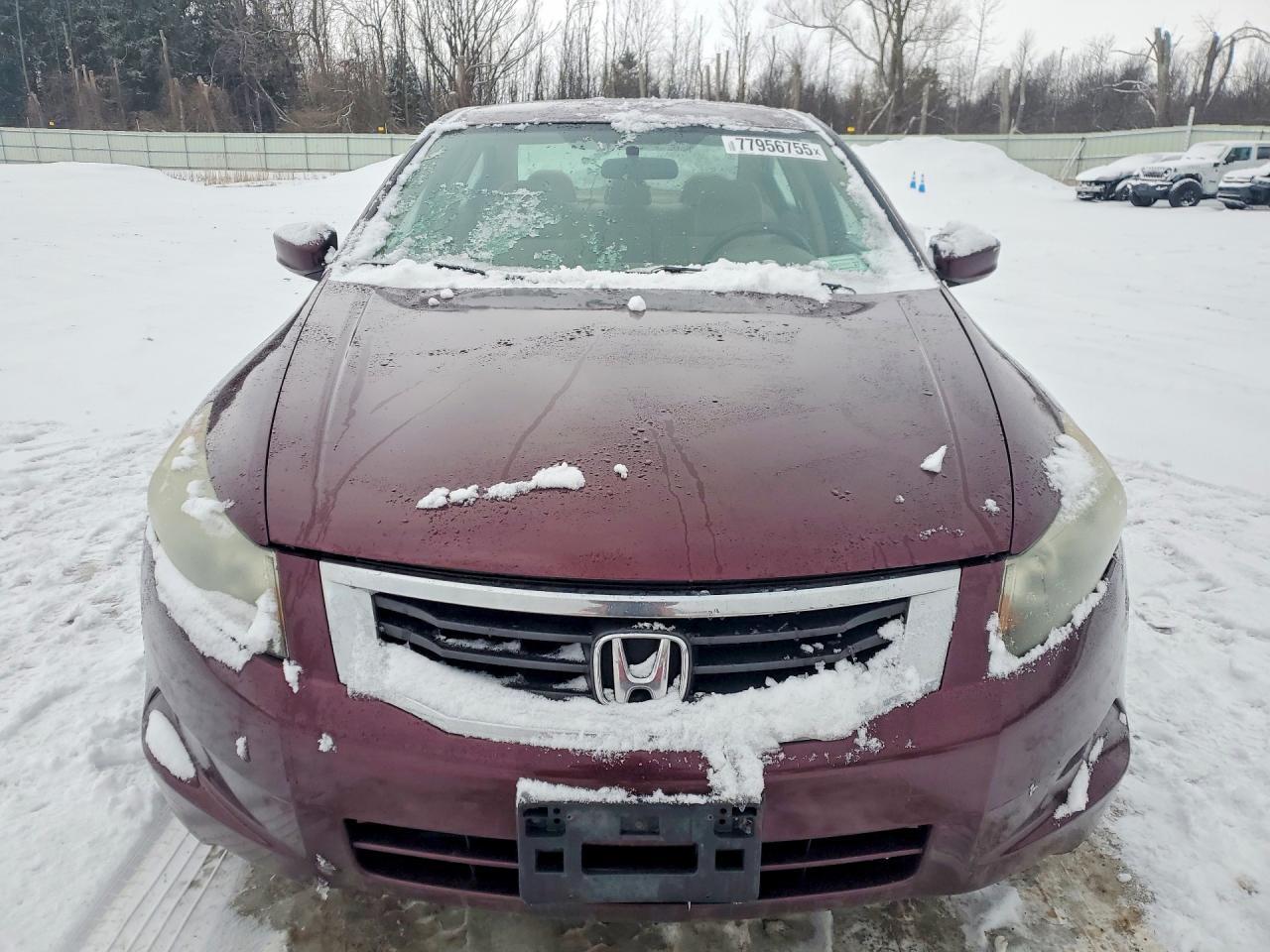 2010 HONDA ACCORD