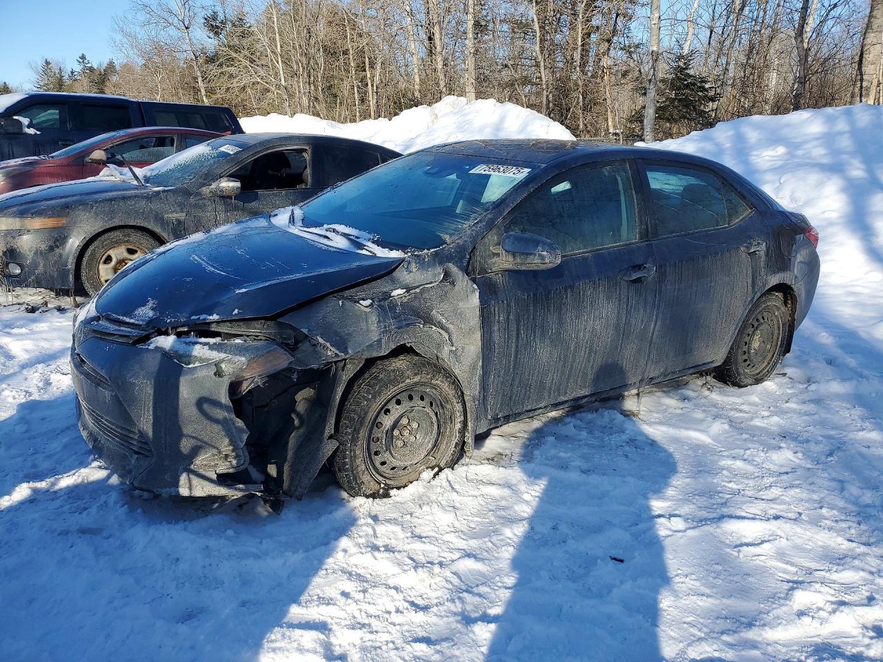 2019 TOYOTA COROLLA