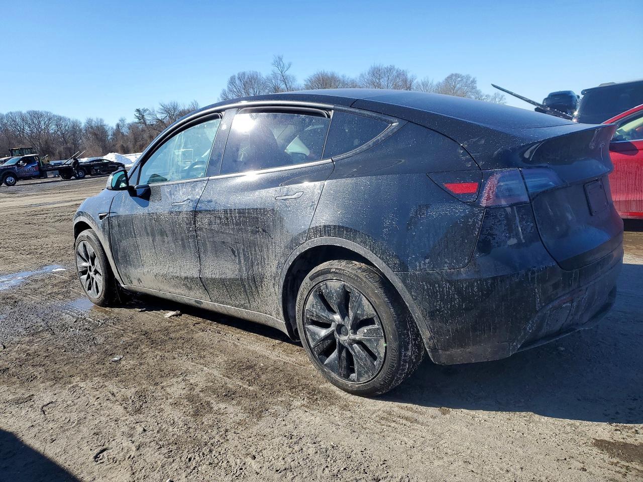 2025 TESLA MODEL Y
