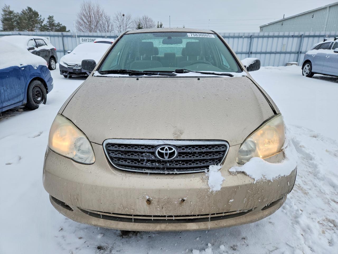 2008 TOYOTA COROLLA