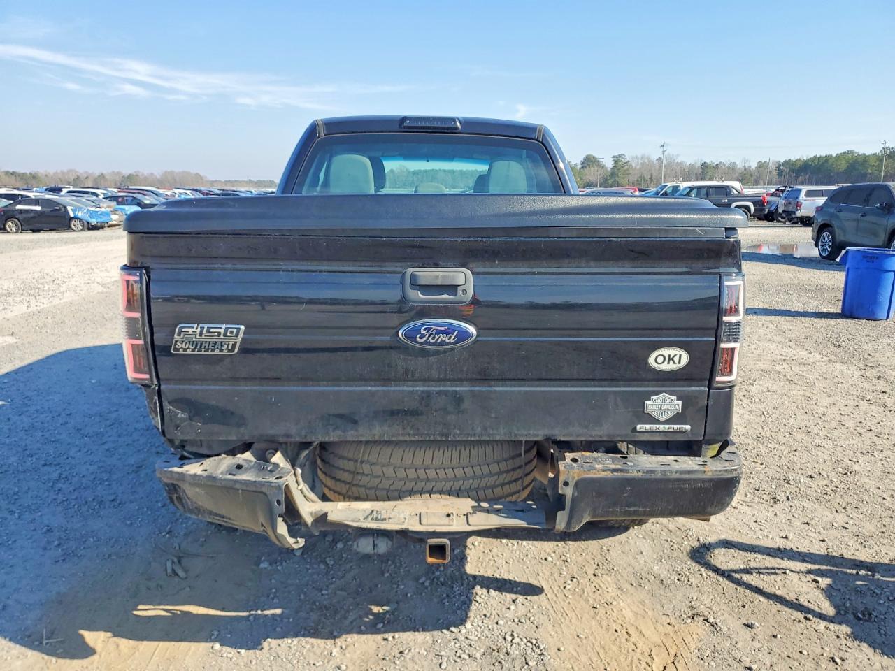 2013 FORD F-150