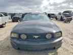 2005 FORD MUSTANG