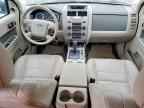 2010 FORD ESCAPE