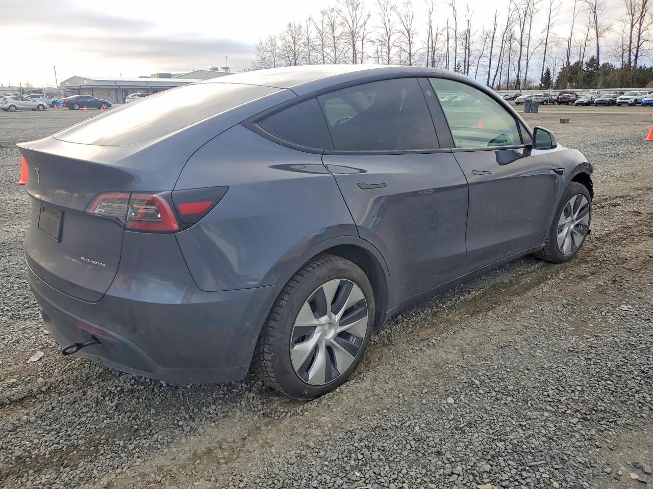 2021 TESLA MODEL Y