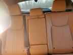2024 LEXUS NX 350