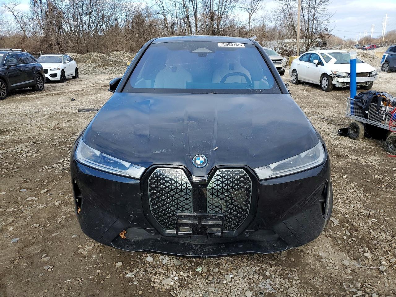 2024 BMW iX