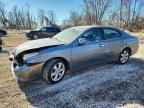 2006 LEXUS ES 330