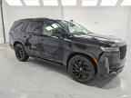2024 CADILLAC ESCALADE