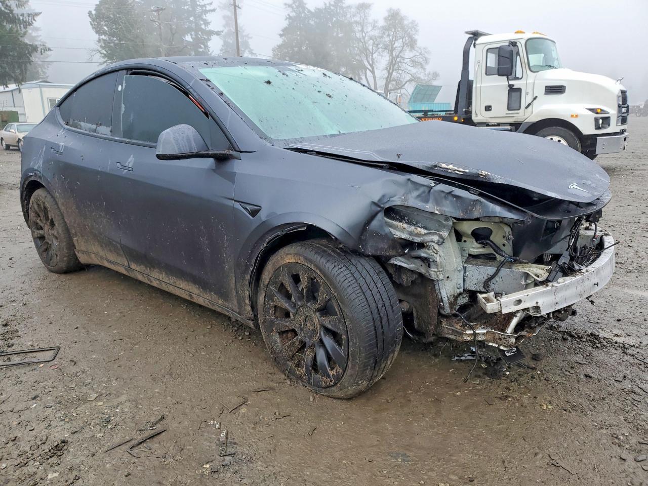 2025 TESLA MODEL Y