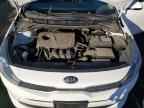 2019 KIA RIO