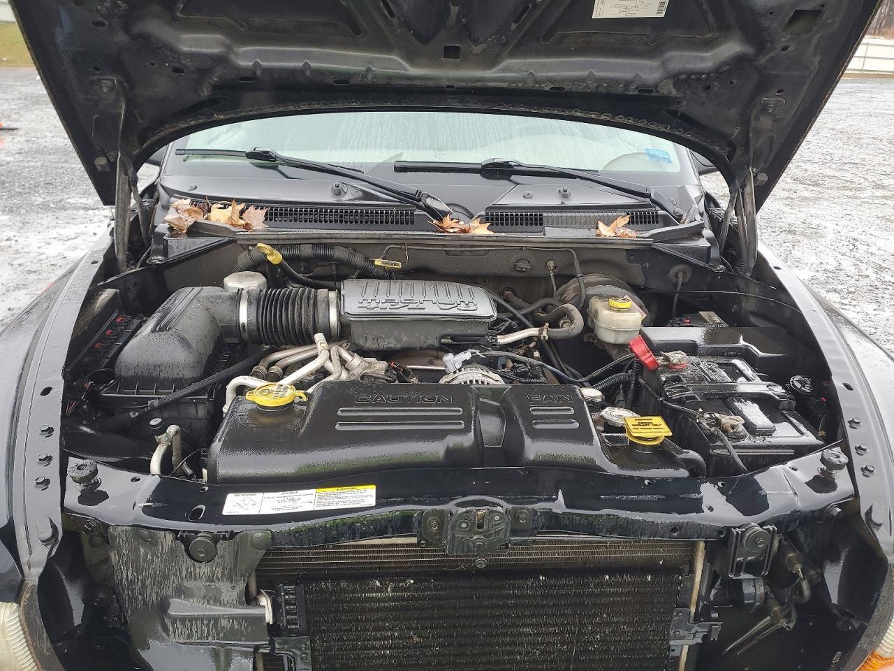 2004 DODGE Dakota