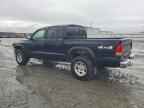 2004 DODGE Dakota