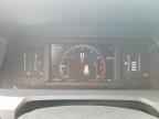 2025 TOYOTA 4Runner
