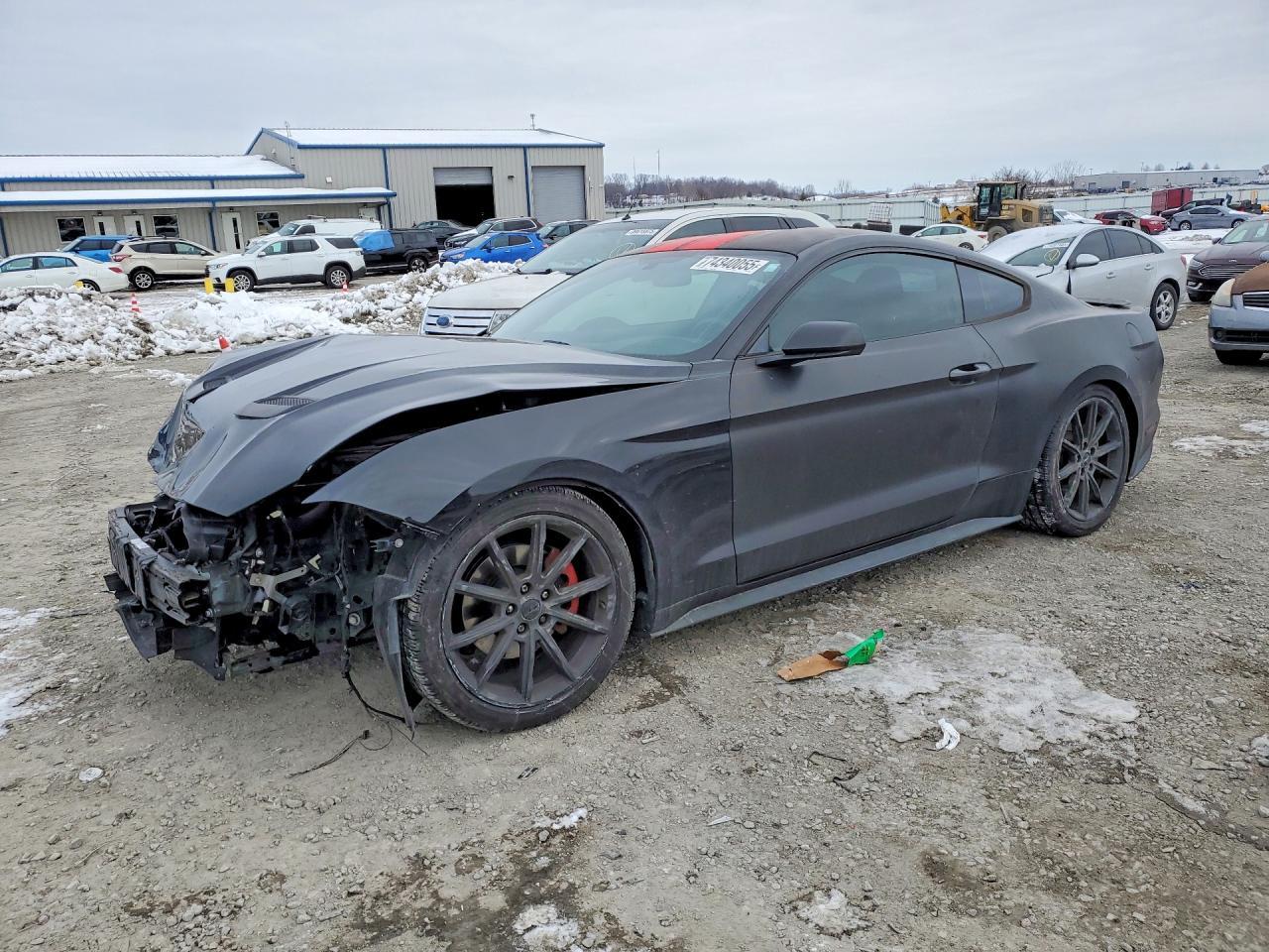 2019 FORD MUSTANG