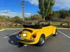 1979 VOLKSWAGEN Beetle