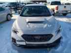 2023 SUBARU WRX
