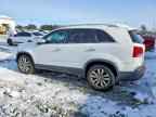 2011 KIA SORENTO