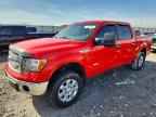2013 FORD F-150 Lightning