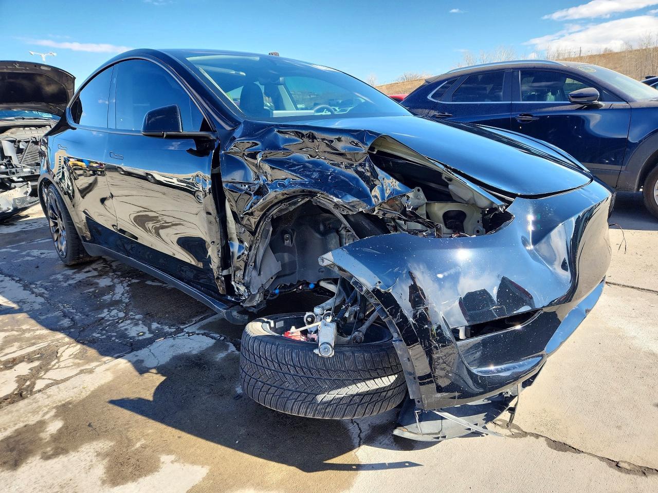 2025 TESLA MODEL Y