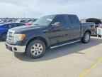 2013 FORD F-150 Lightning