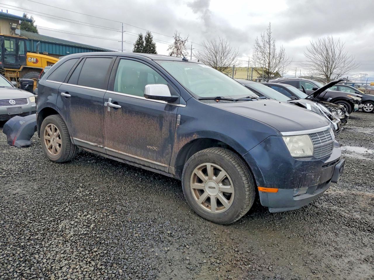 2009 LINCOLN MKX