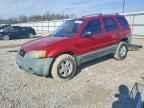 2005 FORD ESCAPE
