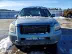 2007 HONDA PILOT