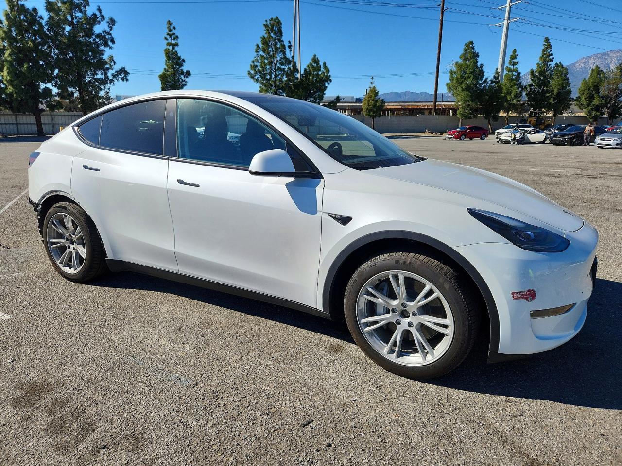2023 TESLA MODEL Y