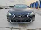 2024 LEXUS ES 350