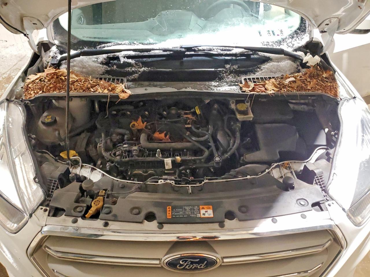 2019 FORD ESCAPE