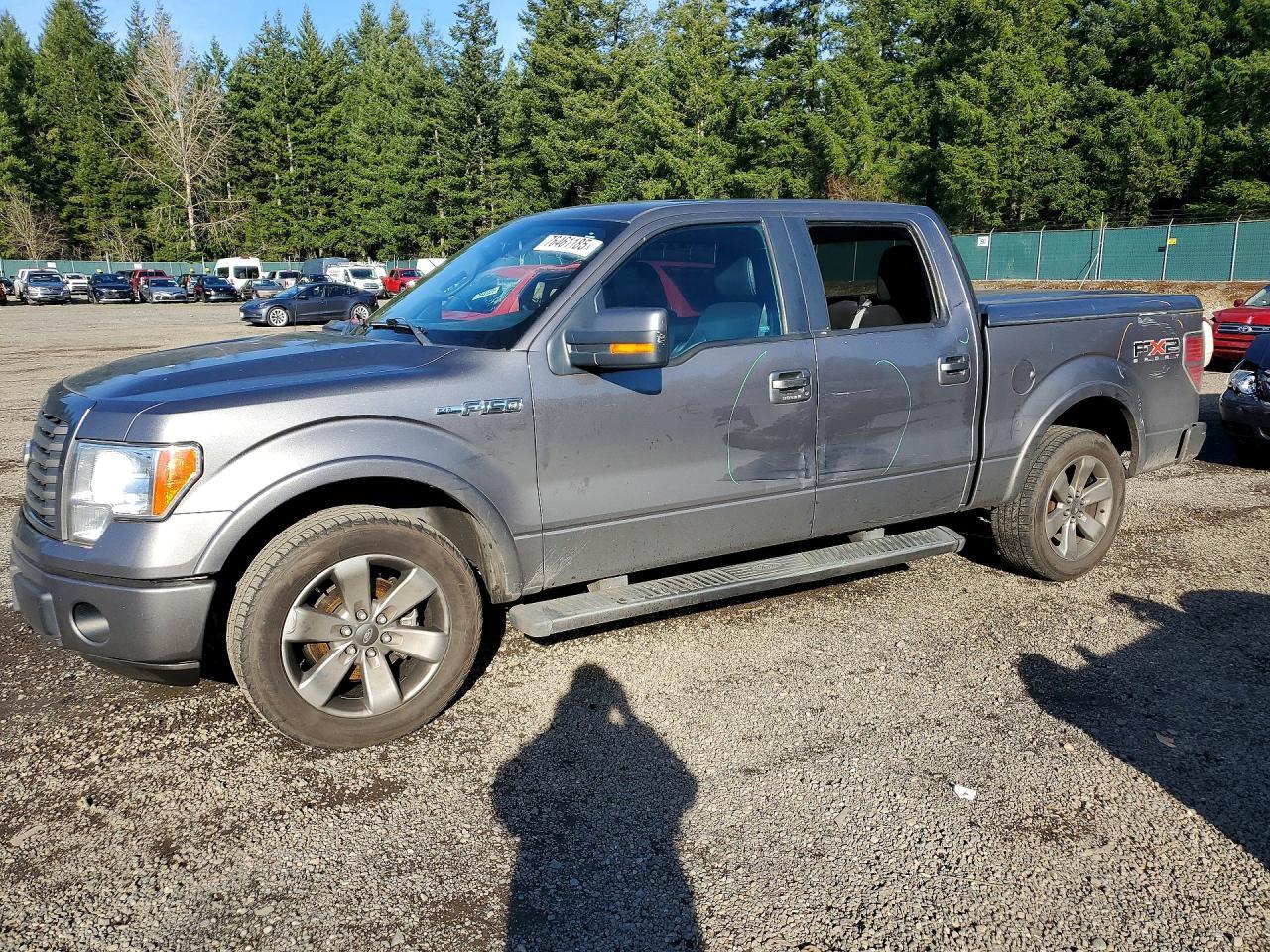 2010 FORD F-150