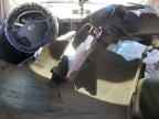 2007 NISSAN Armada