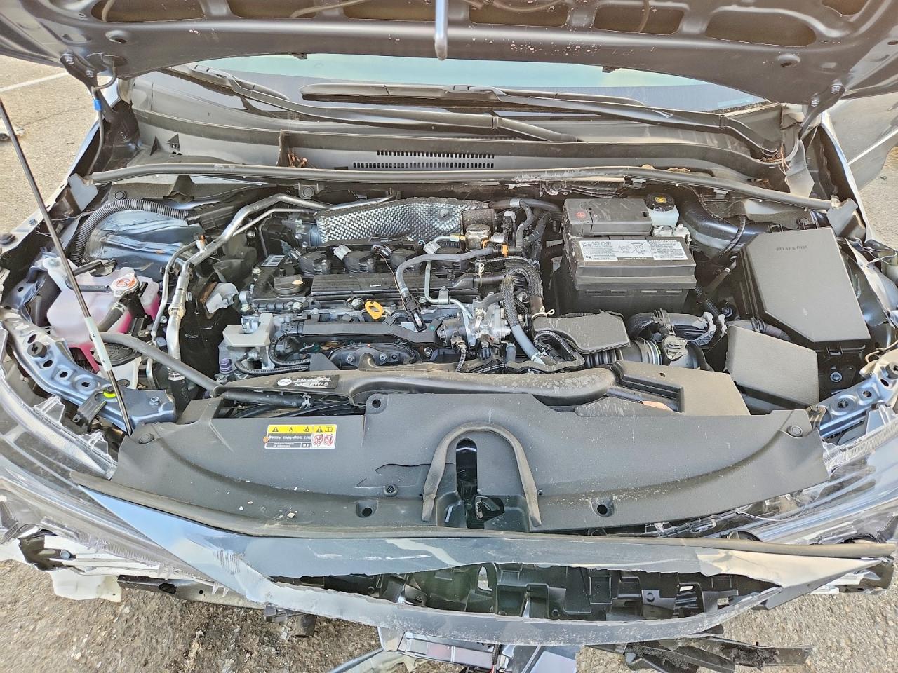 2025 TOYOTA COROLLA