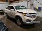 2011 KIA SORENTO