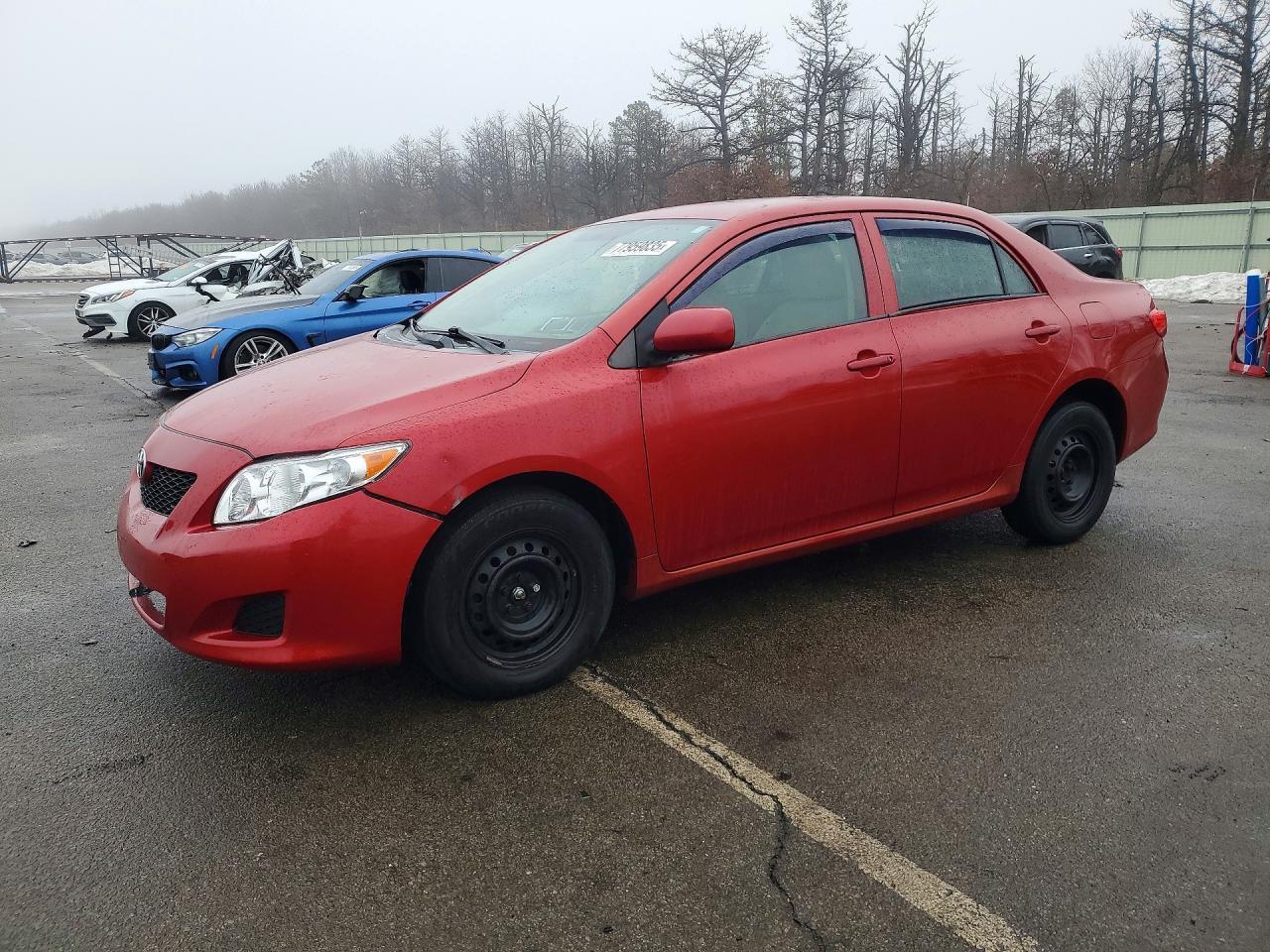 2010 TOYOTA COROLLA