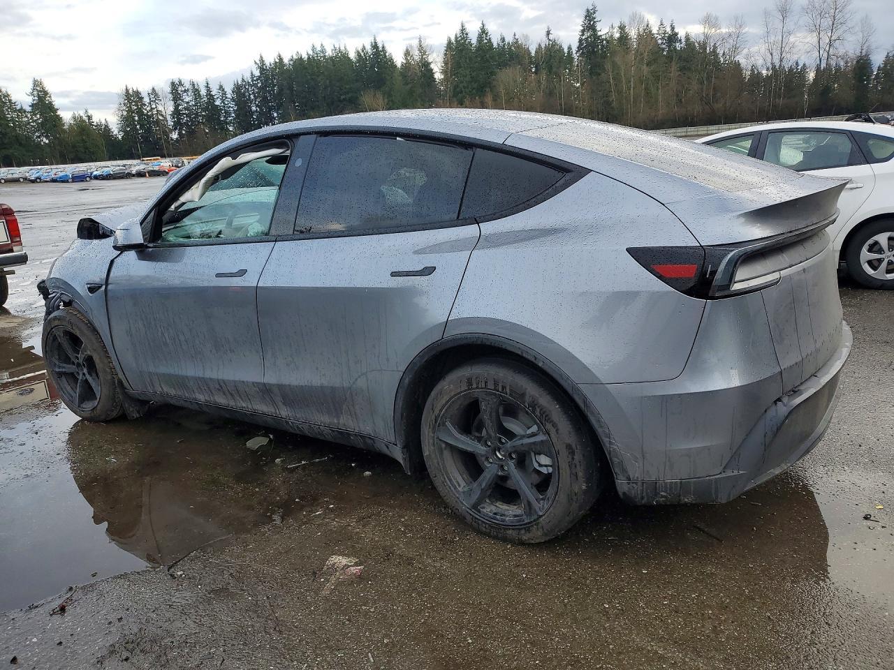 2026 TESLA MODEL Y