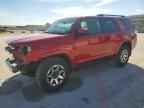 2024 TOYOTA 4Runner