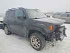 2019 JEEP Renegade