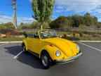 1979 VOLKSWAGEN Beetle