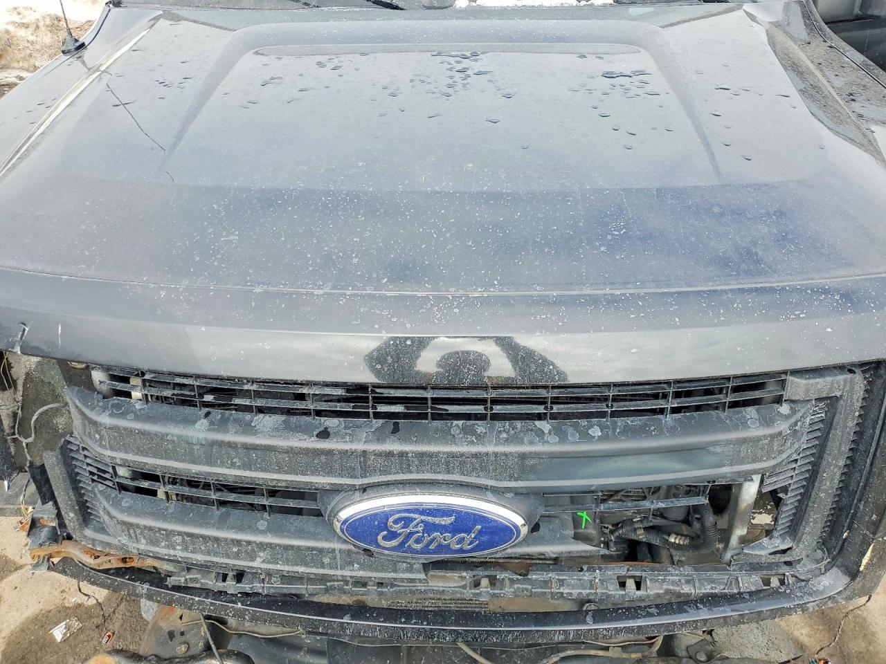 2013 FORD F-150 Lightning