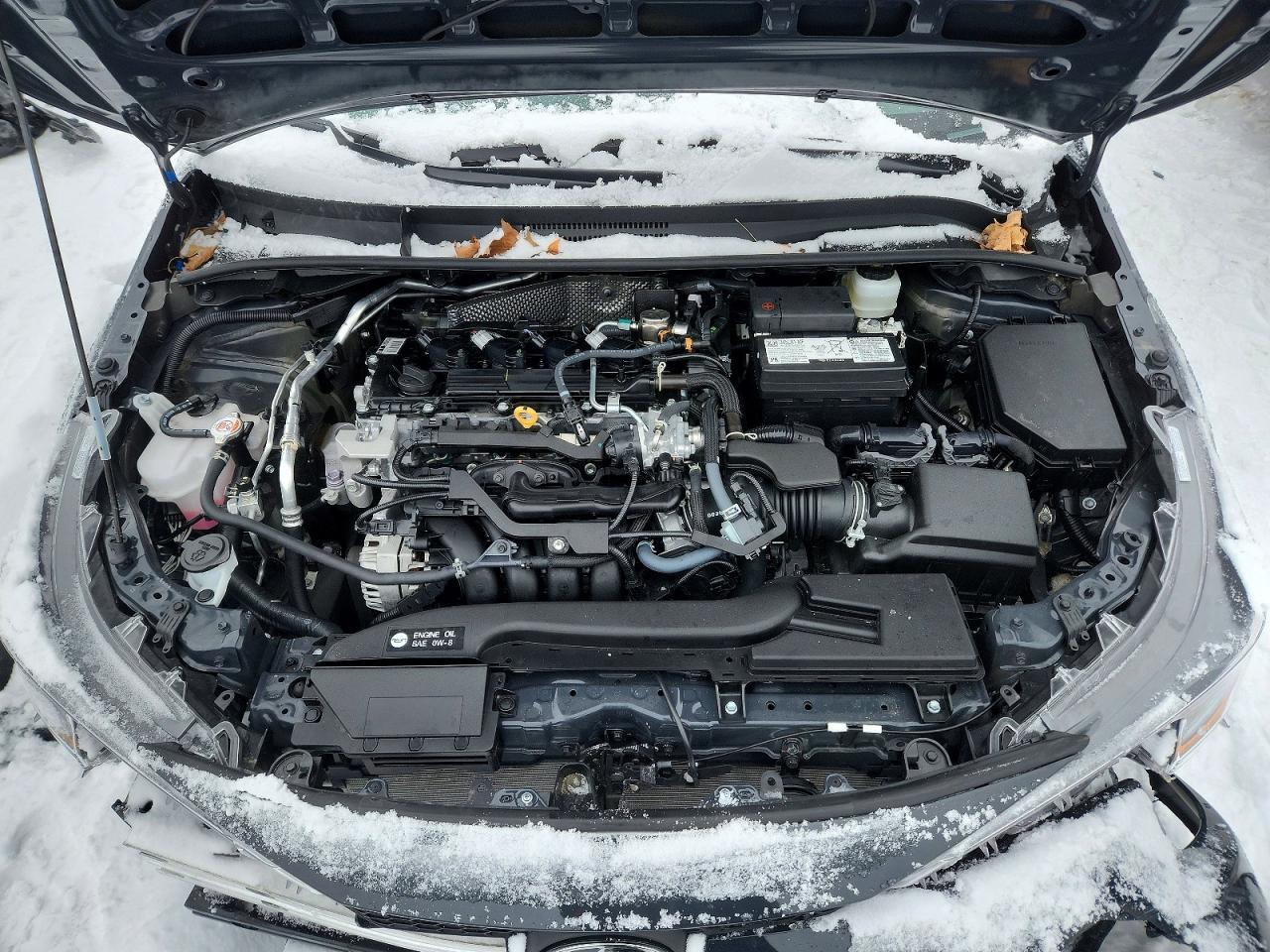 2025 TOYOTA COROLLA
