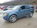 2010 FORD ESCAPE