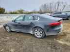 2017 JAGUAR XF