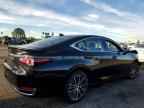2025 LEXUS ES 300H