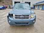 2010 FORD ESCAPE