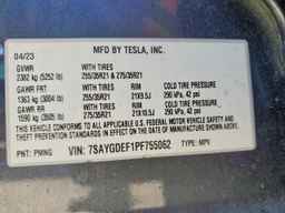 2023 TESLA MODEL Y