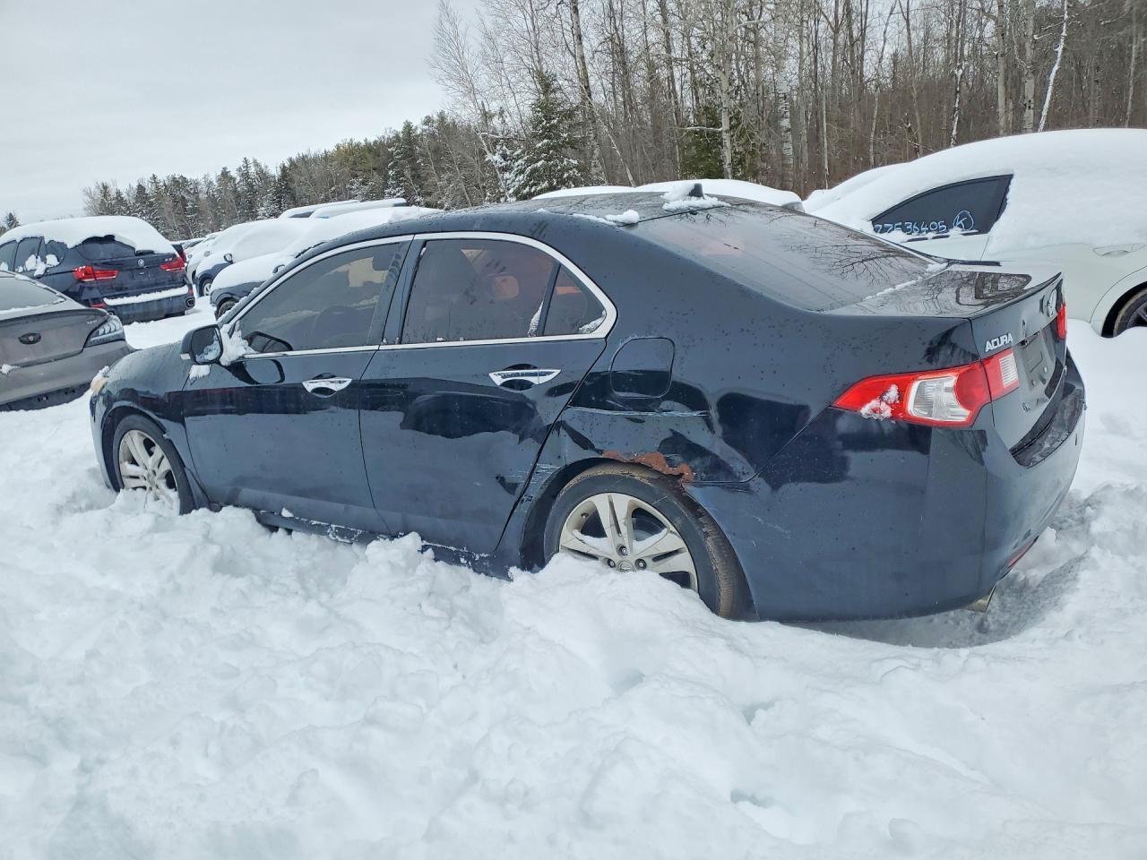 2010 ACURA TSX