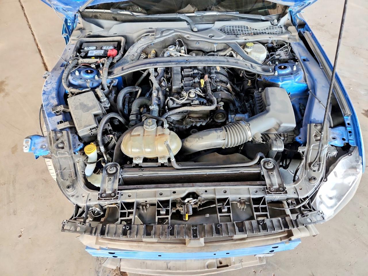 2019 FORD MUSTANG