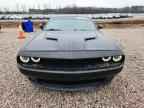 2017 DODGE Challenger